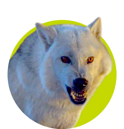 top10-game-thrones-05
